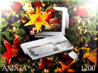 amiga1200.jpg